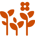 An orange colored icon of three seedlings and flowers.