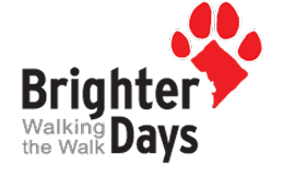 Logo for Brighter Days dogwalking collective. Logo for Brighter Days dogwalking collective.